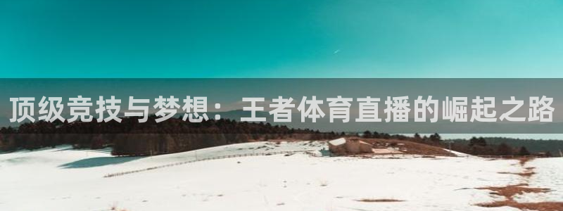 大蓝鲸直播间：顶级竞技与梦想：王者体育直播的崛起之路