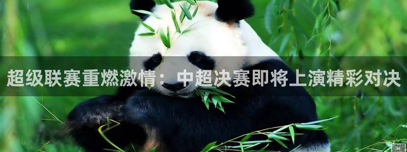 蓝鲸直播官网：超级联赛重燃激情：中超决赛即将上演精彩对决