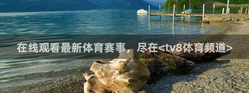 蓝鲸直播 安卓：在线观看最新体育赛事，尽在<tv8体育频道>