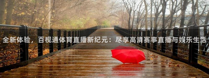 蓝鲸直播怎么下载：全新体验，百视通体育直播新纪元：尽享高清赛事直播与娱乐生活