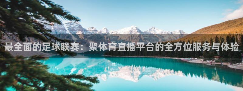 下载蓝鲸直播app：最全面的足球联赛：聚体育直播平台的全方位服务与体验