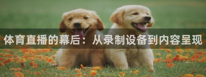 蓝鲸直播官网下载：体育直播的幕后：从录制设备到内容呈现
