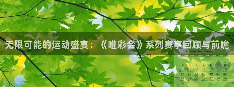 蓝鲸直播男：无限可能的运动盛宴：《唯彩会》系列赛事回顾与前瞻