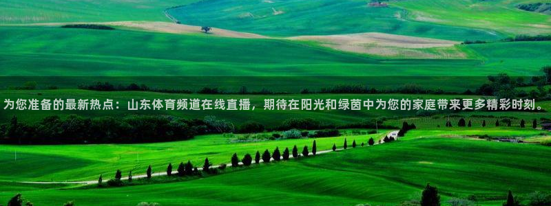 大蓝鲸直播间：为您准备的最新热点：山东体育频道在线直播，期待在阳光和绿茵中为您的家庭带来更多精彩时刻。