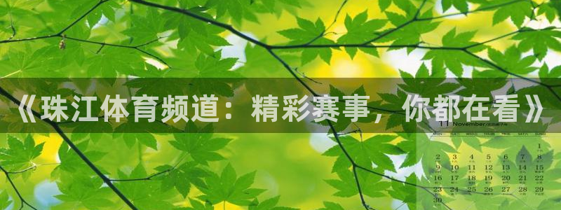 蓝鲸直播下载：《珠江体育频道：精彩赛事，你都在看》