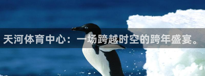 蓝鲸直播官网入口下载安装：天河体育中心：一场跨越时空的跨年盛宴。