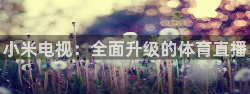 蓝鲸直播官网：小米电视：全面升级的体育直播